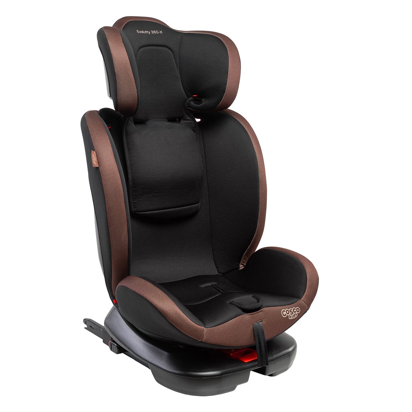 Preto Avelã - IMP02823