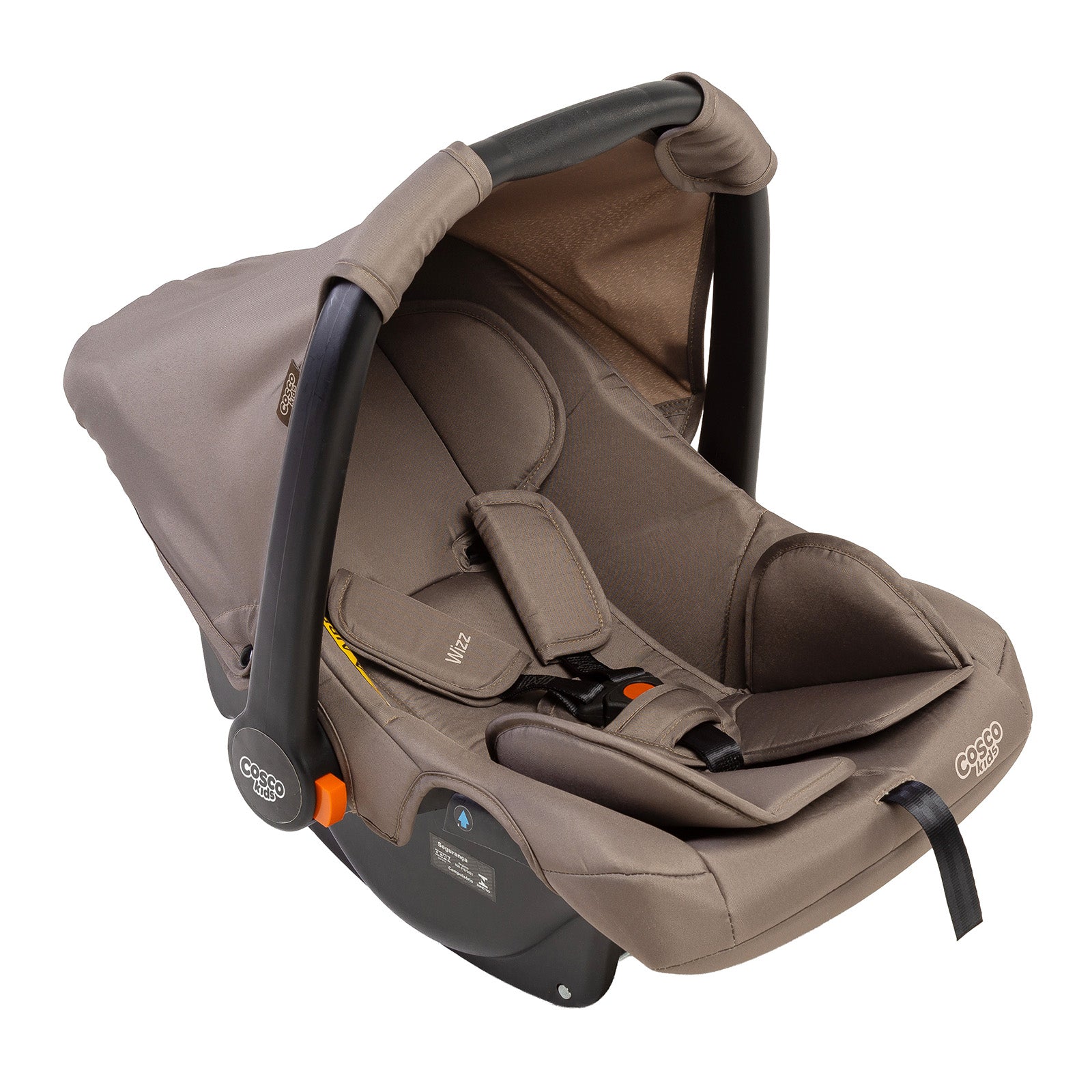 Taupe - CAX01127