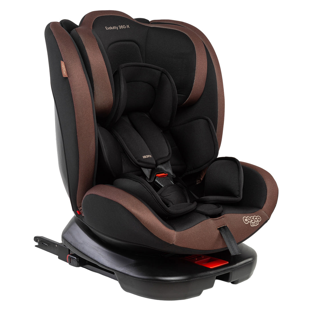 Preto Avelã - IMP02823