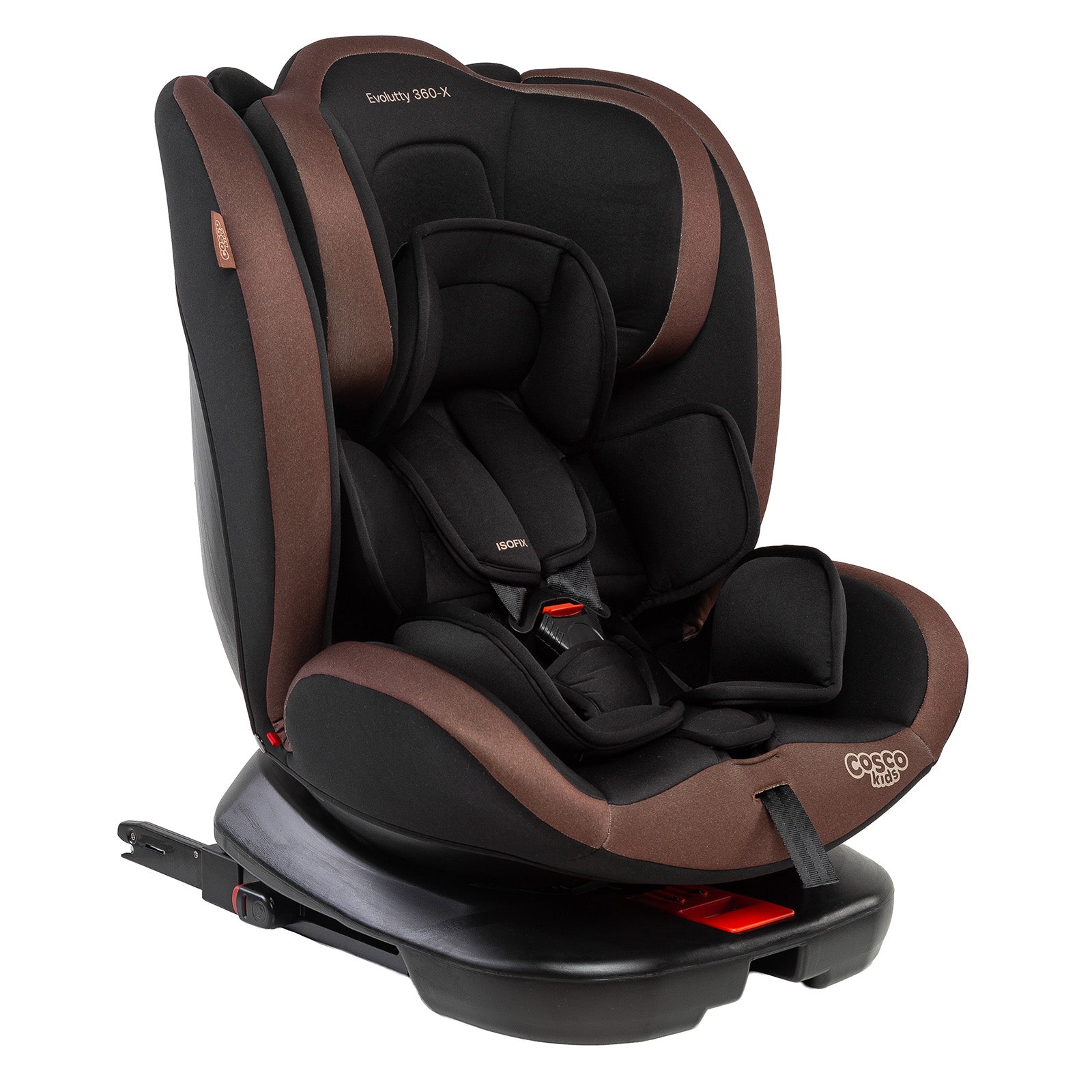 Preto Avelã - IMP02823