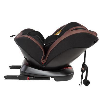 Preto Avelã - IMP02823