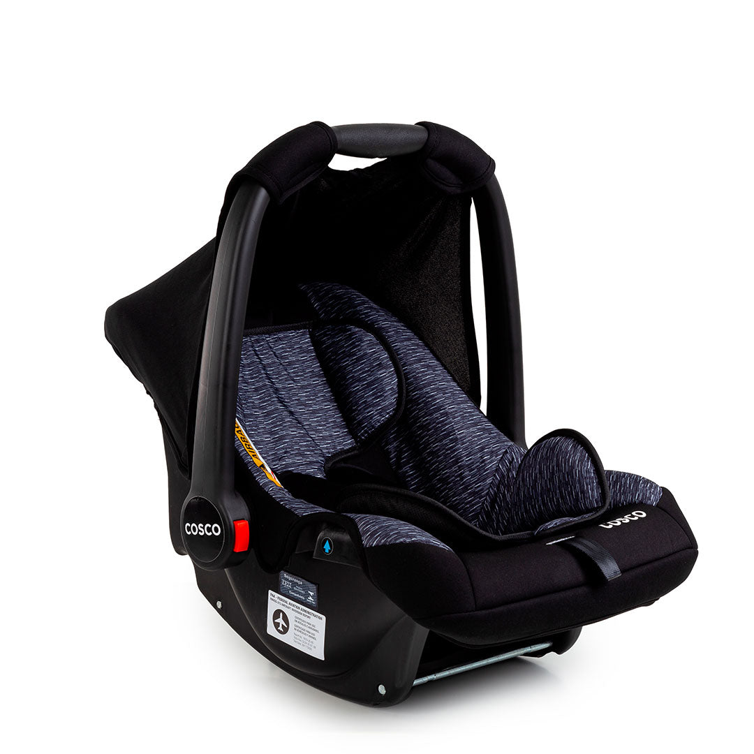 Preto Rajado - CAX00853