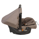 Taupe - CAX01127