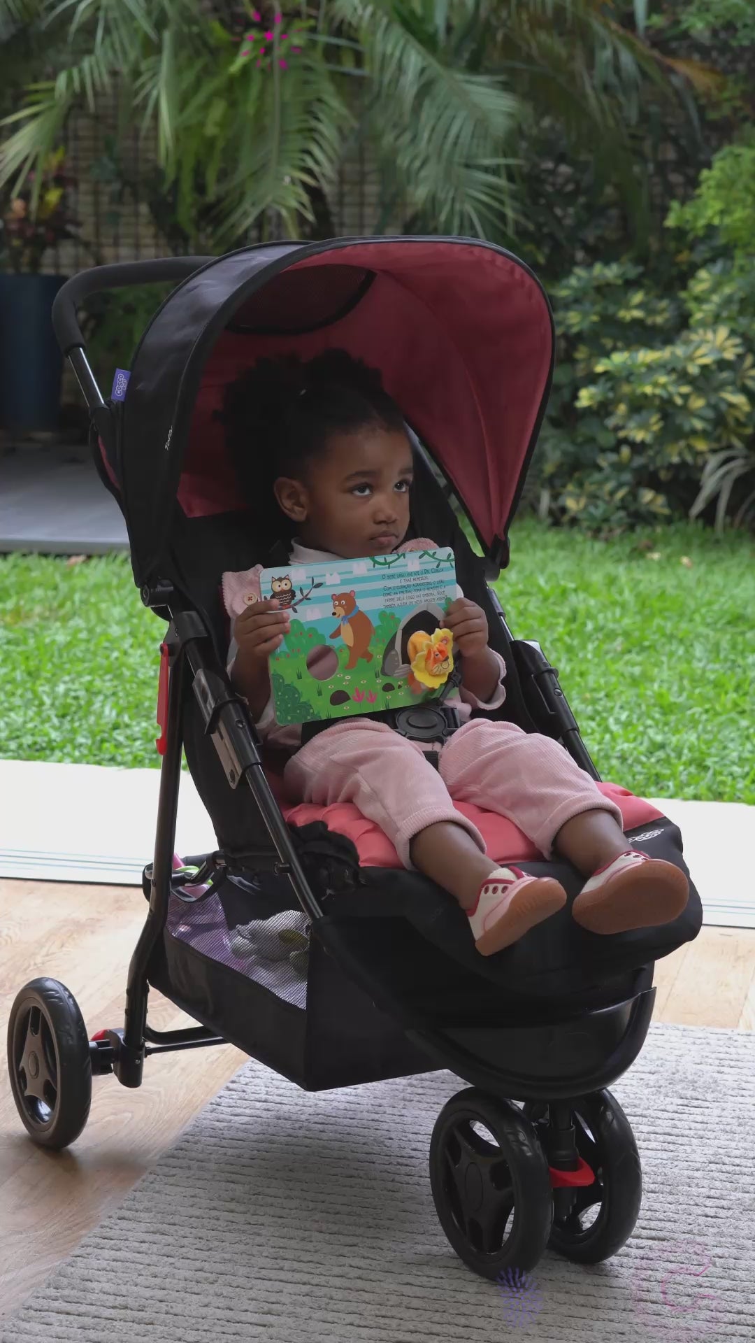 Vídeo - Carrinho Toffy